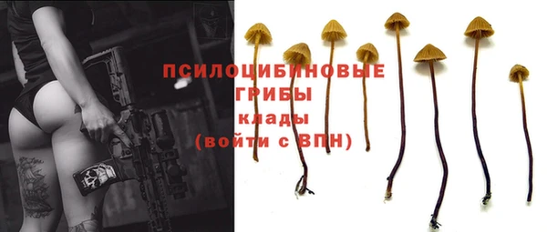 винт Нея