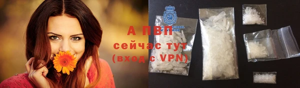 винт Нея