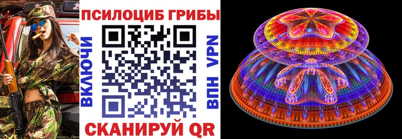 Купить закладки  Старая Русса  Псилоцибиновые грибы MAGIC MUSHROOMS 