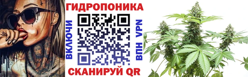 Каннабис White Widow  Купить закладки  Старая Русса 